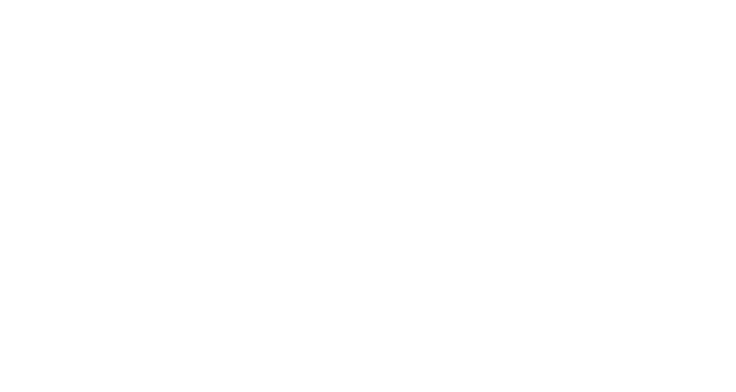 Fast Track